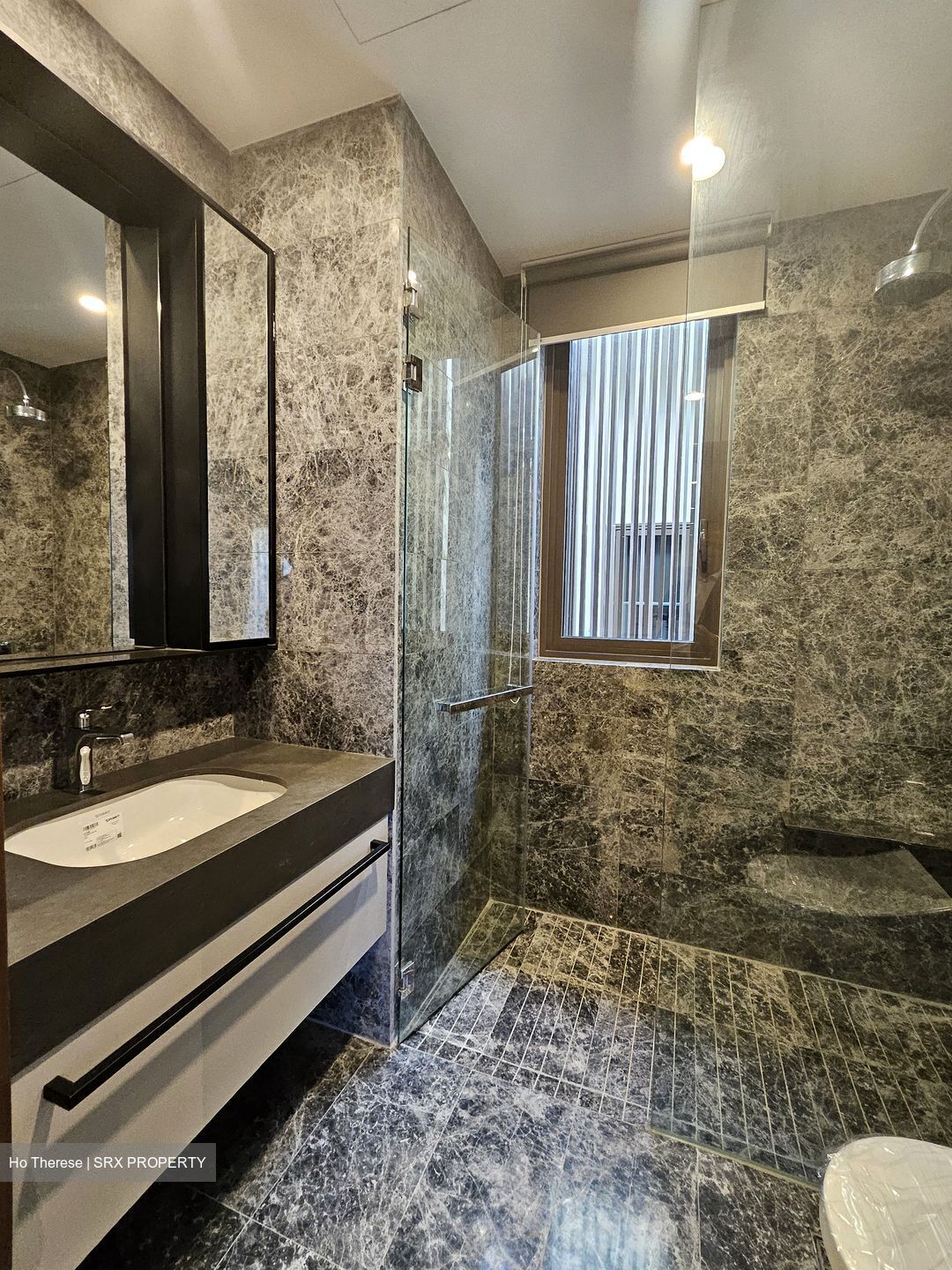 Parksuites (D10), Apartment #577586671